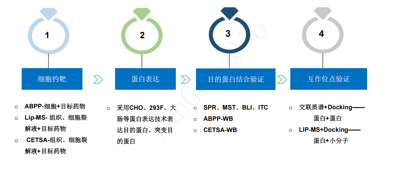 蛋白纯化