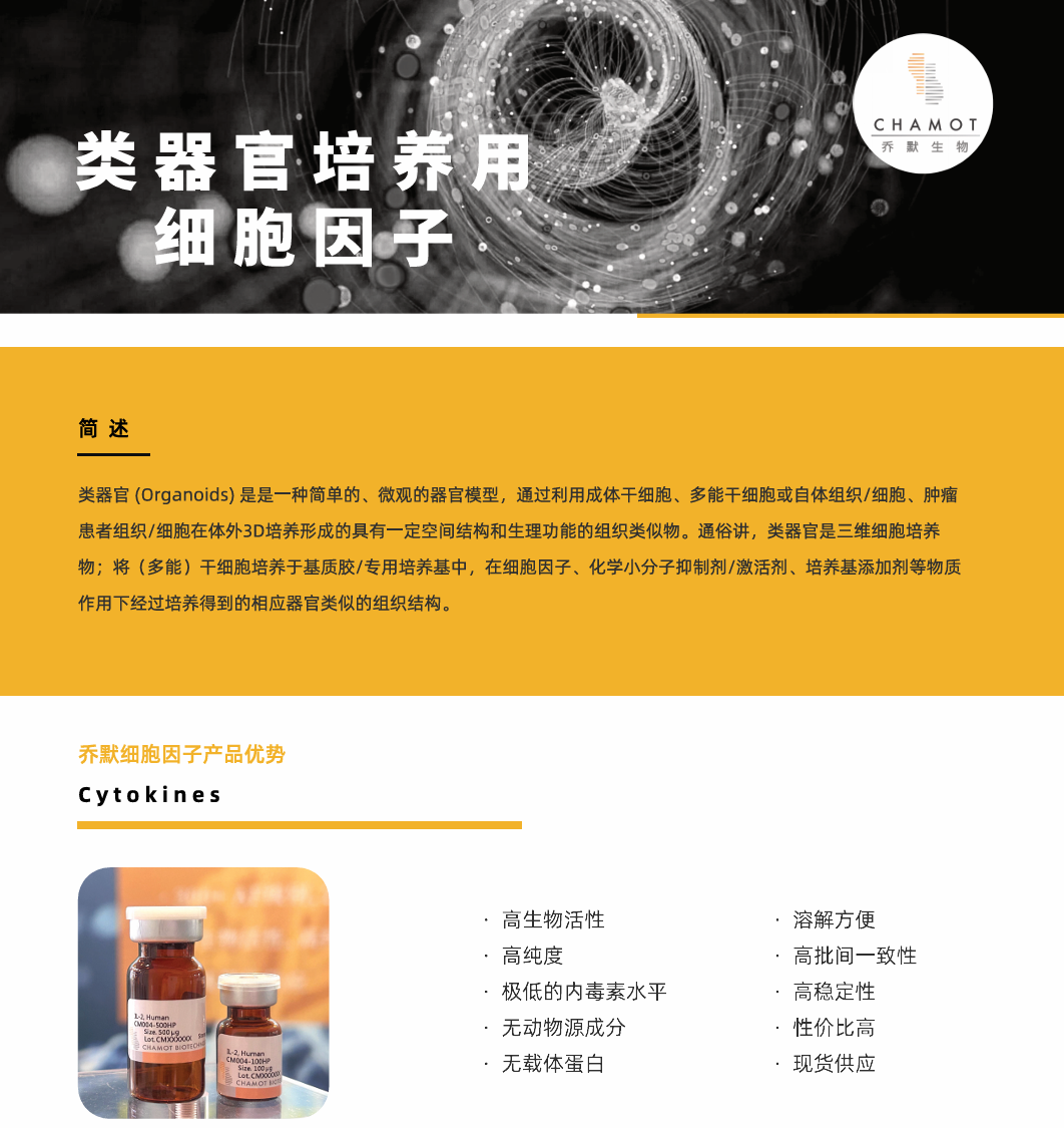 类器官培养