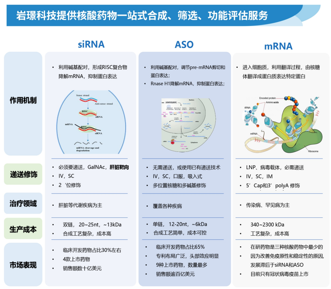 小核酸合成